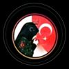 bayragini_seven_birgenc