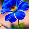 ahmedothman781