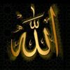 user2186902467883