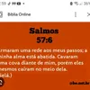 florzinha_9123