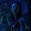 viviamp0