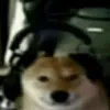 manogd2