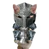 gato_cavaleiro123