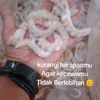 fanigalau2