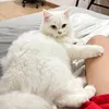 huymagic79
