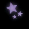 stary.bunny