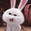 minimainimoo0
