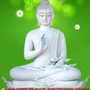 user7357038104010myo