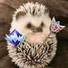 az_unreal_hedgehog20