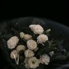 onyourmm_2