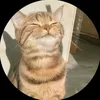 kirzxx0_0