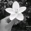 djhosain6