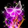 jasminvanselow330