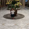 luu20803