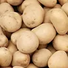 patatas_al_ajillo