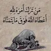 user5wqgjmtysx
