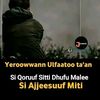 siifjedheeti2