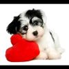 user6805224252221