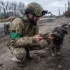 combat.art.ukraine