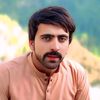 arshadaliarman