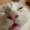 jezyr_13
