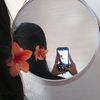 reni01281