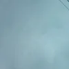 maull_347