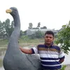ayshatoya