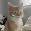 _maysa_1o1
