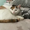 evaevelina991