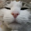 __.nana20