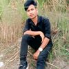 mdmosiarvai