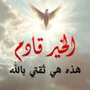 zeynab5151