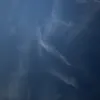 nvjtkr