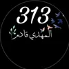 8__z__m_313