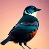 bouzidhassan496