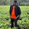 prof_mwalim
