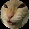 zzzstylex02