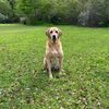 andrew_law09