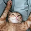 twyptophan_