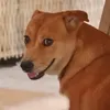nhungoctrw_