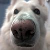 timothybeynon5