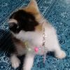 titinnn38
