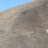 bao77ikik