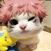 meow_sukuna0