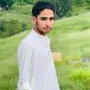 chaudhary.easa