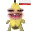 nangsbt413