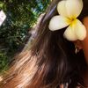 lindaaaharis