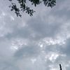 xydz_yaa