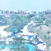 thyhoang175